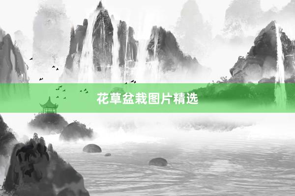 花草盆栽图片精选