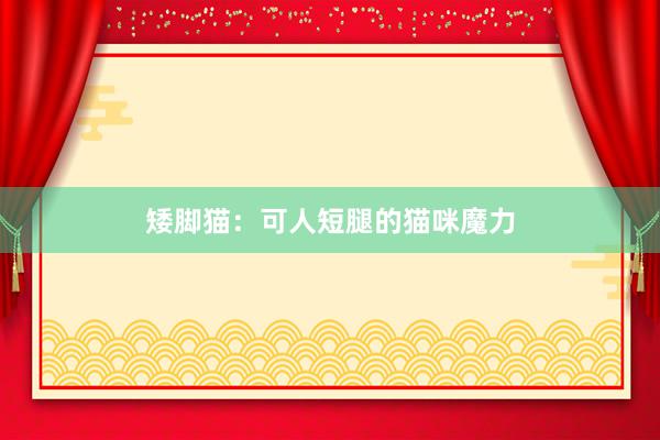 矮脚猫：可人短腿的猫咪魔力