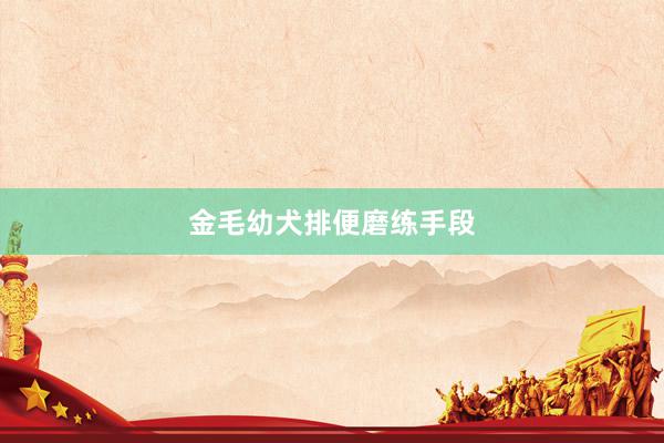 金毛幼犬排便磨练手段